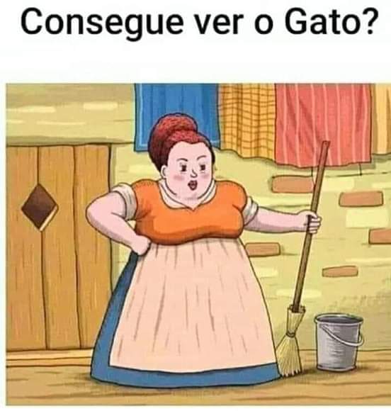Desafio ache o gato